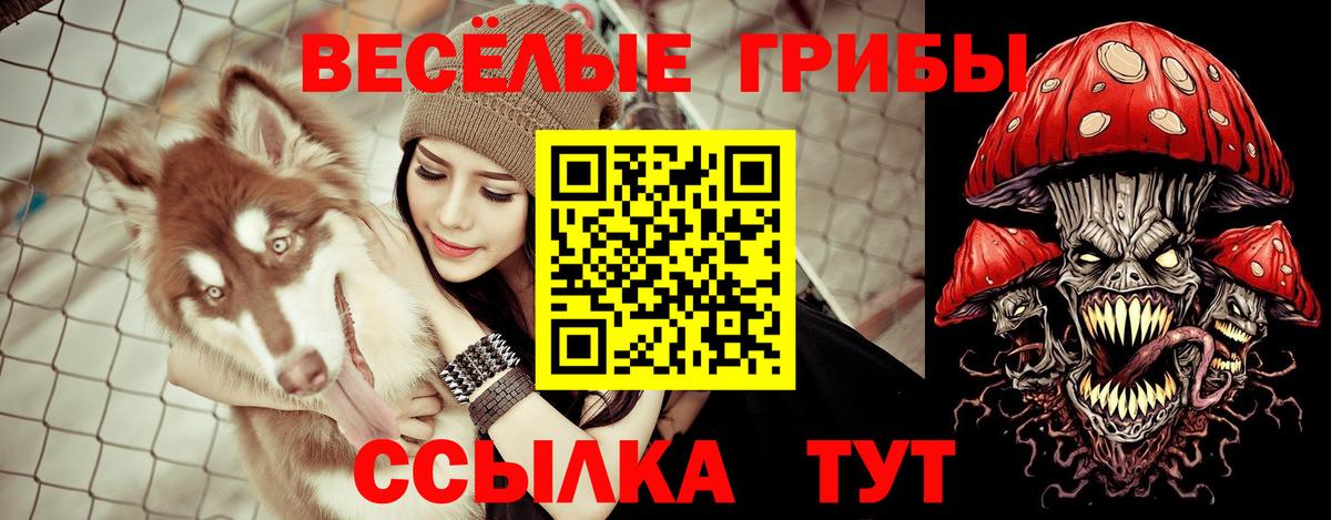 Джанкой  Псилоцибиновые грибы Cubensis  Псилоцибиновые грибы Psilocybe  купить   Вход с VPN 